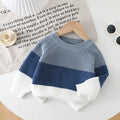 SHEIN Playful Pals Long Sleeve Crew Neck Knit, Multi-Color