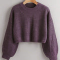 SHEIN Franclia Casual Round Neck Long Sleeve Blouse, Knitted Blouse